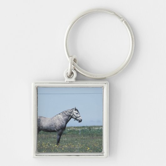 Paarden in het veld sleutelhanger (Voorkant)