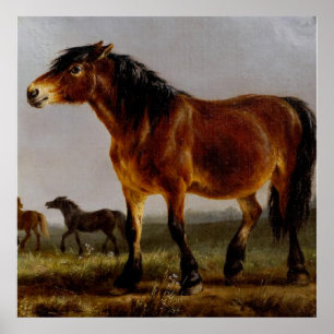 Paarden in het vlakke landschap poster