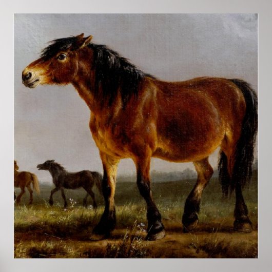 Paarden in het vlakke landschap poster (Voorkant)
