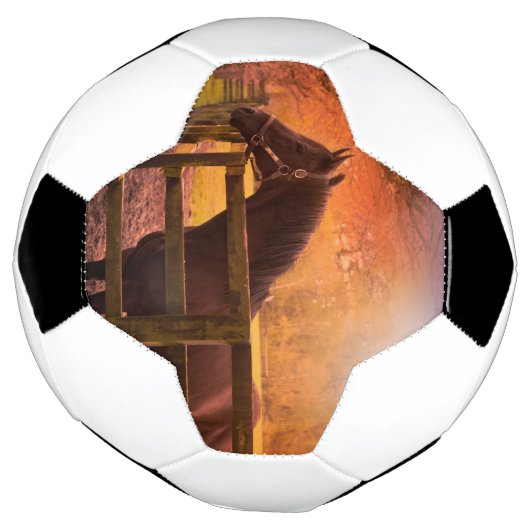 Paarden in het Voetbal van het grasland (Gedraaid)