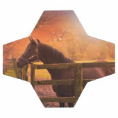 Paarden in het Voetbal van het grasland (Enkel)