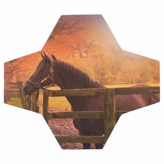 Paarden in het Voetbal van het grasland (Enkel)