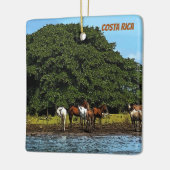 Paarden in het water - Costa Rica Keramisch Ornament (Links)