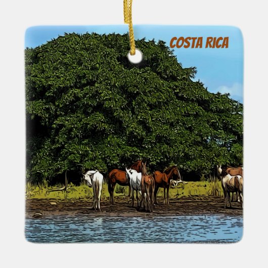 Paarden in het water - Costa Rica Keramisch Ornament (Voorkant)