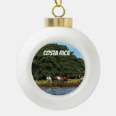 Paarden in het water - Costa Rica Keramische Bal Ornament (Voorkant)
