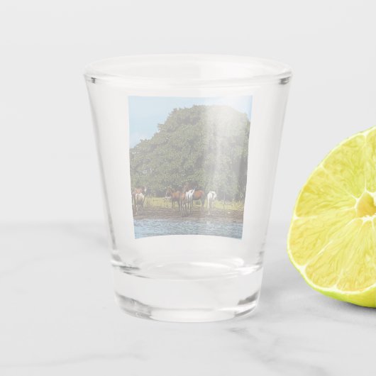 Paarden in het water - Costa Rica Shot Glas (Achterkant)