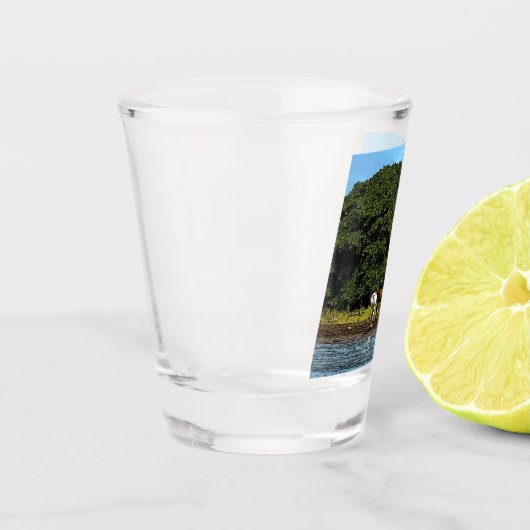 Paarden in het water - Costa Rica Shot Glas (Links)