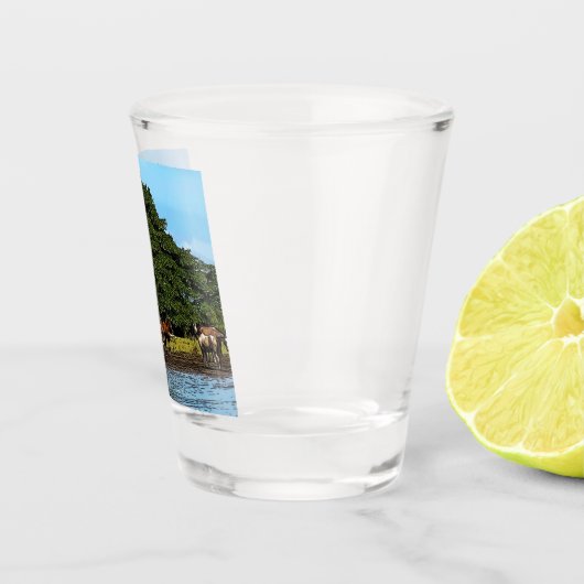 Paarden in het water - Costa Rica Shot Glas (Rechts)