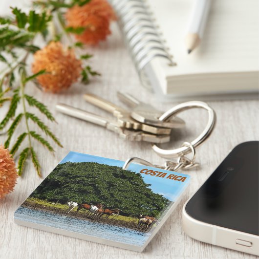 Paarden in het water - Costa Rica Sleutelhanger (Voorkant Rechts)