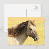 Paarden in het wild briefkaart (Voorkant / Achterkant)
