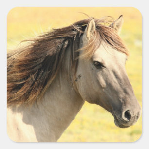 Paarden in het wild vierkante sticker
