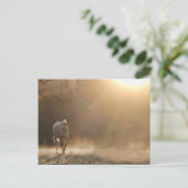 Paarden in het zonlicht briefkaart (Staand voorkant)