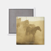 Paarden in koraal magneet (Voorkant / Achterkant)