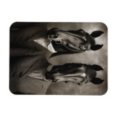 Paarden in kostuums magneet (Horizontaal)