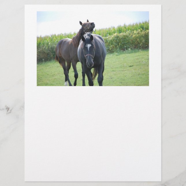 Paarden in liefde (Voorkant)