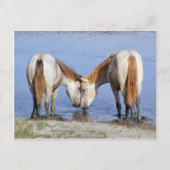 PAARDEN IN LIEFDE BRIEFKAART (Voorkant)