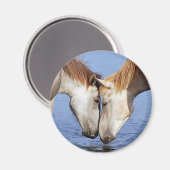 PAARDEN IN LIEFDE MAGNEET (Voorkant / Achterkant)