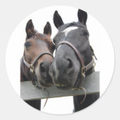 Paarden in liefde ronde sticker (Voorkant)