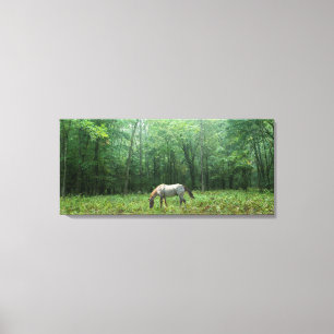 Paarden in Meadow Canvas Afdruk