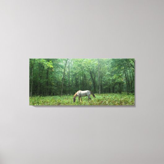 Paarden in Meadow Canvas Afdruk (Voorkant)