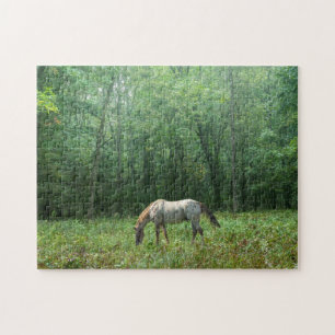 Paarden in Meadow Legpuzzel