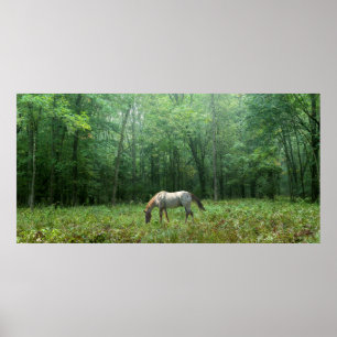 Paarden in Meadow Poster