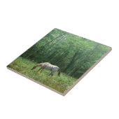 Paarden in Meadow Tegeltje (Zijkant)