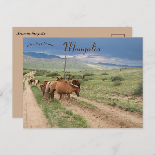 Paarden in Mongolië Briefkaart (Voorkant / Achterkant)