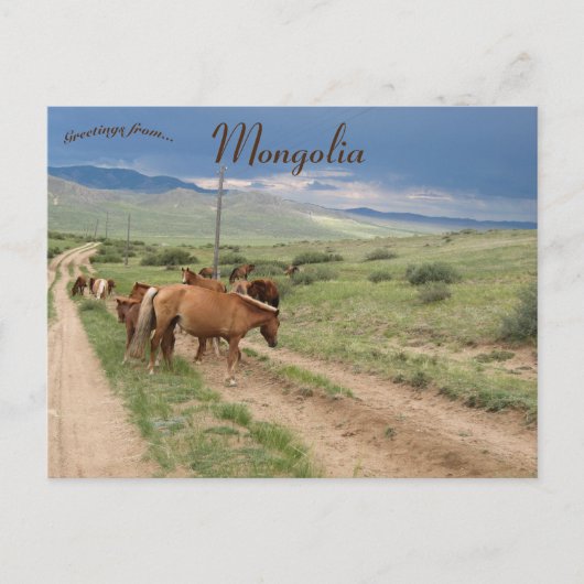 Paarden in Mongolië Briefkaart (Voorkant)