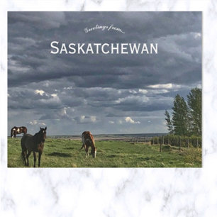 Paarden in Mortlach Saskatchewan Nederland Briefkaart