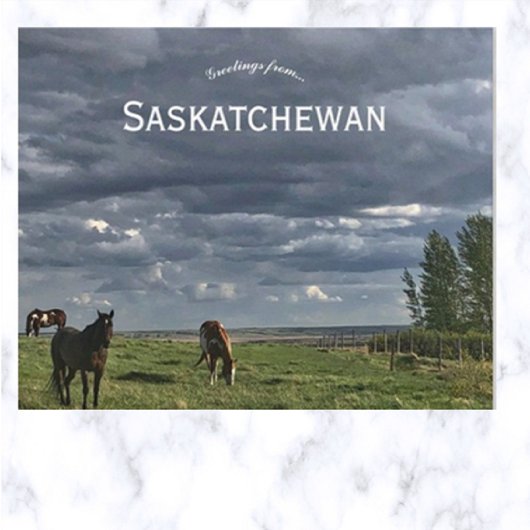 Paarden in Mortlach Saskatchewan Nederland Briefkaart