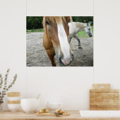 Paarden in Ocala, Florida Art Poster (Keuken)