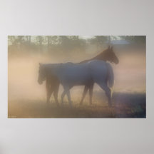 Paarden in ochtendmist