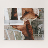 Paarden in Paddock en boerderij paard lover, aange Legpuzzel (Horizontaal)