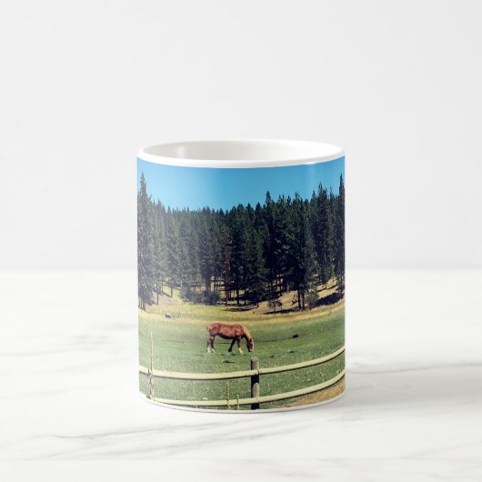 Paarden in pasta koffiemok (Center)