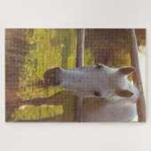 Paarden in pasta legpuzzel (Horizontaal)