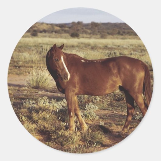 Paarden in pasta ronde sticker (Voorkant)