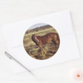 Paarden in pasta ronde sticker (Envelop)