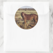 Paarden in pasta ronde sticker (Tas)