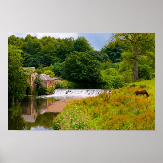 Paarden in Pollok Park, Glasgow Poster (Voorkant)