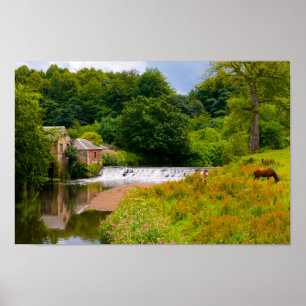 Paarden in Pollok Park, Poster van Glasgow