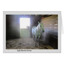 Paarden in rust in veilige Boerderijen
