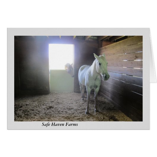 Paarden in rust in veilige Boerderijen (Voorkant Horizontaal)