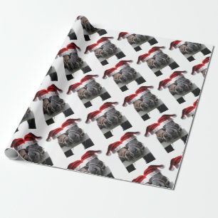 Paarden in Santa Claus-Petten Cadeaupapier
