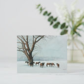 "Paarden in sneeuw" Briefkaart van de dierenkunst (Staand voorkant)