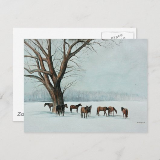 "Paarden in sneeuw" Briefkaart van de dierenkunst (Voorkant / Achterkant)
