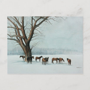 "Paarden in sneeuw" Briefkaart van de dierenkunst
