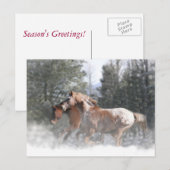 Paarden in SneeuwkerstBriefkaart Feestdagenkaart (Voorkant / Achterkant)