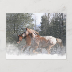 Paarden in SneeuwkerstBriefkaart Feestdagenkaart