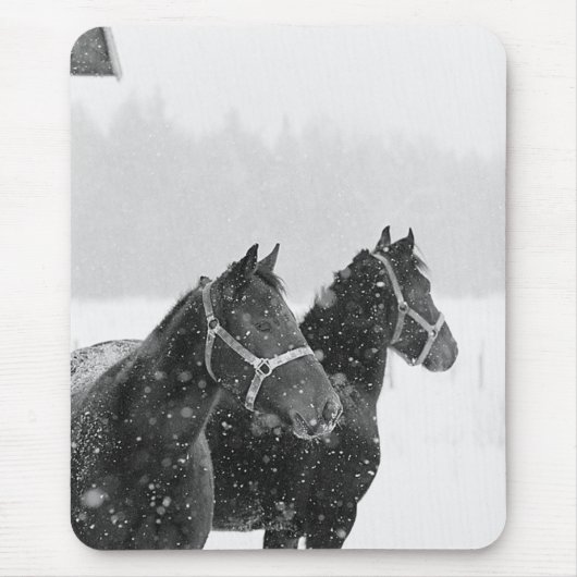 Paarden in Snowfall Muismat (Voorkant)